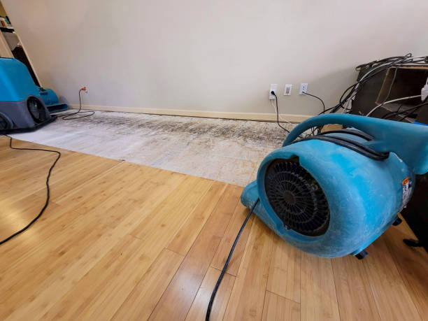 Professional Water Removal technician working in Hollister, MO